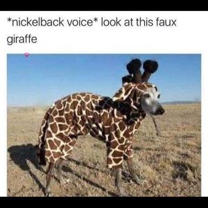 Meet your Posher, Julie